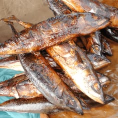 POISSON FUME